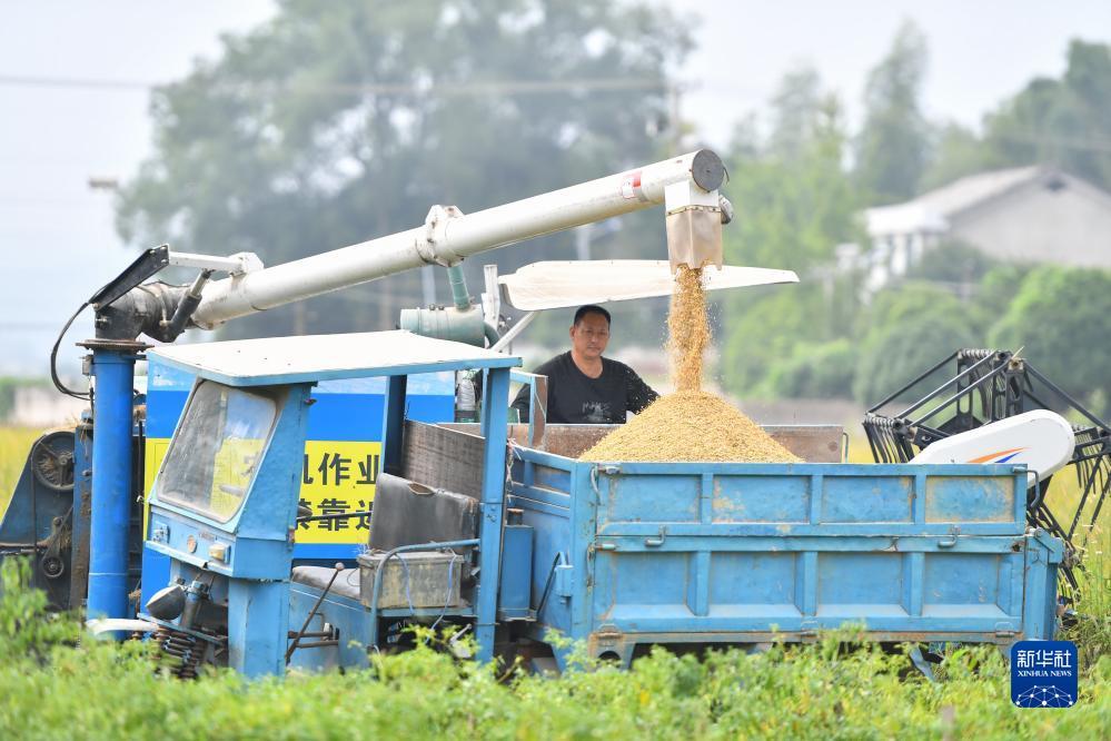 捕鱼游戏发布网
